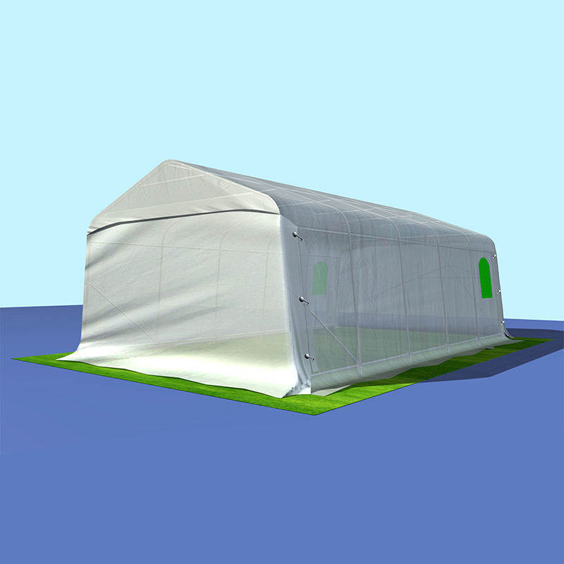 Garaje Portátil de Alta Resistencia PE Resistente a UV 3.3x6.1m (11