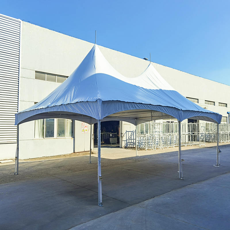 Carpa de Fiesta de Pico Alto 20