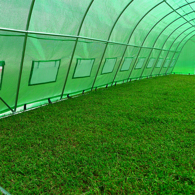 Invernaderos Polytunnel Pesados de Gran Tamaño 4x10x2.3m