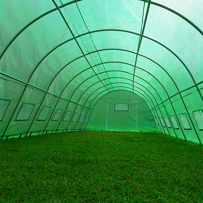 Invernaderos Polytunnel Pesados de Gran Tamaño 4x10x2.3m