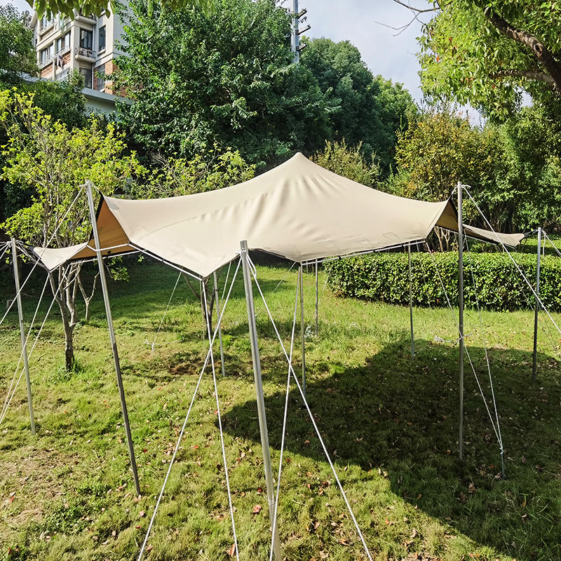 Carpa Estirable para Fiesta 4x6m para Jardín